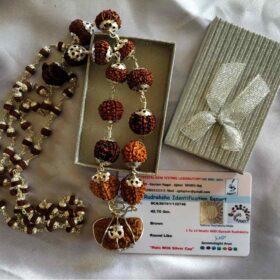 1 से 14 मुखी रुद्राक्ष माला - 1 To 14 Mukhi Silver Cap Rudraksha Mala With Ganesh Rudraksha With Lab Report