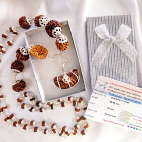 1 से 9 मुखी रुद्राक्ष माला - 1 To 9 Mukhi Silver Cap Rudraksha Mala With Lab Report