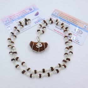 1 मुखी रुद्राक्ष ( माला के साथ ) - Silver Cap Rudraksha Mala With 1 Mukhi Rudraksha Pendant ( With Lab Report )