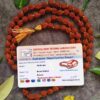 रुद्राक्ष जाप माला 108 बीड्स - Rudraksha Jap Mala 108 BeadsWith Lab Report