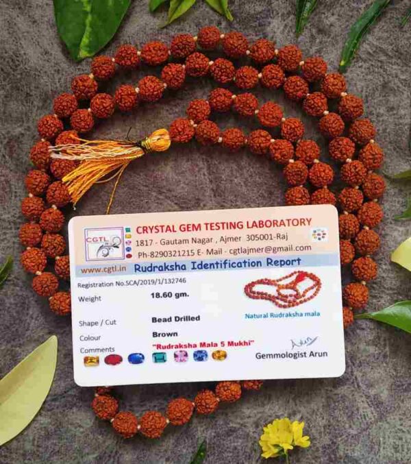 रुद्राक्ष जाप माला 108 बीड्स - Rudraksha Jap Mala 108 BeadsWith Lab Report