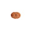 17 मुखी रुद्राक्ष पेंडेंट के साथ - 17 Mukhi Rudraksha With Silver Cap Pendant - With Lab Report