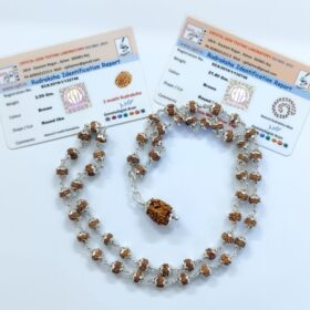 2 मुखी रुद्राक्ष ( माला के साथ ) - Silver Cap Rudraksha Mala With 2 Mukhi Rudraksha Pendant ( With Lab Report )