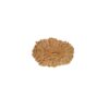 20 मुखी रुद्राक्ष पेंडेंट के साथ - 20 Mukhi Rudraksha With Silver Cap Pendant - With Lab Report