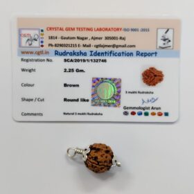 3 मुखी रुद्राक्ष - 3 Mukhi Rudraksha With Silver Cap Pendant With Lab Report