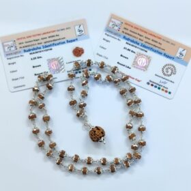 3 मुखी रुद्राक्ष ( माला के साथ ) - Silver Cap Rudraksha Mala With 3 Mukhi Rudraksha Pendant ( With Lab Report )