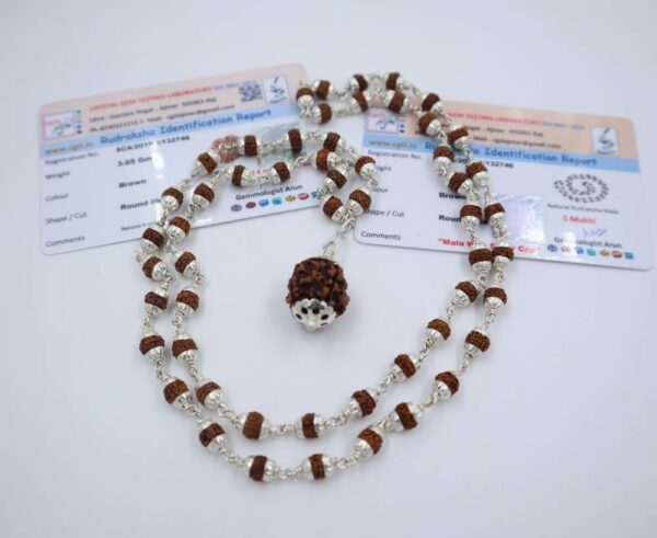 4 मुखी रुद्राक्ष ( माला के साथ ) - Silver Cap Rudraksha Mala With 4 Mukhi Rudraksha Pendant ( With Lab Report )