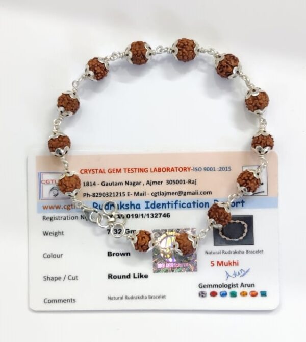 5 मुखी रुद्राक्ष ब्रेसलेट - Natural Rudraksha Bracelet 5 Mukhi With Silver Cap - With Lab Report