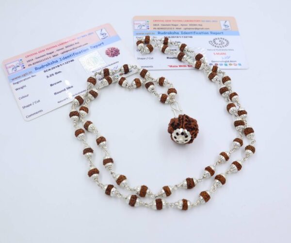 5 मुखी रुद्राक्ष ( माला के साथ ) - Silver Cap Rudraksha Mala With 5 Mukhi Rudraksha Pendant ( With Lab Report )