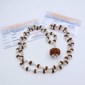 6 मुखी रुद्राक्ष ( माला के साथ ) - Silver Cap Rudraksha Mala With 6 Mukhi Rudraksha Pendant ( With Lab Report )