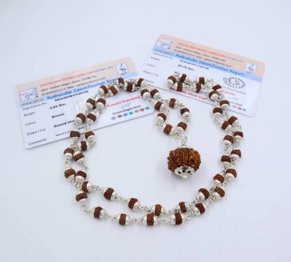 6 मुखी रुद्राक्ष ( माला के साथ ) - Silver Cap Rudraksha Mala With 6 Mukhi Rudraksha Pendant ( With Lab Report )