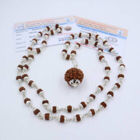 7 मुखी रुद्राक्ष ( माला के साथ ) - Silver Cap Rudraksha Mala With 7 Mukhi Rudraksha Pendant ( With Lab Report )