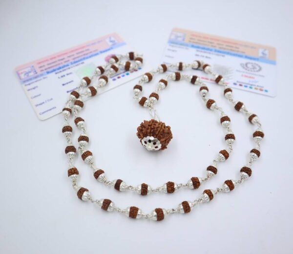 8 मुखी रुद्राक्ष ( माला के साथ )- Silver Cap Rudraksha Mala With 8 Mukhi Rudraksha Pendant ( With Lab Report )