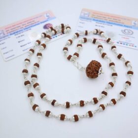 9 मुखी रुद्राक्ष ( माला के साथ ) - Silver Cap Rudraksha Mala With 9 Mukhi Rudraksha Pendant ( With Lab Report )