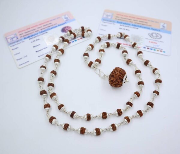 9 मुखी रुद्राक्ष ( माला के साथ ) - Silver Cap Rudraksha Mala With 9 Mukhi Rudraksha Pendant ( With Lab Report )