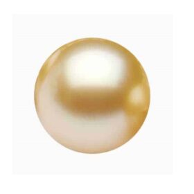 Export Quality South Sea Golden Pearl (साउथ सी गोल्डन मोती) 10.25 Ratti -With Lab Report