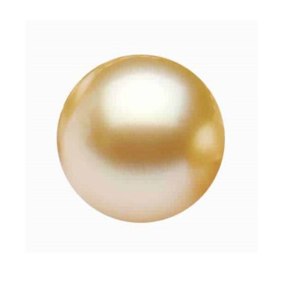 Export Quality South Sea Golden Pearl (साउथ सी गोल्डन मोती) 12.25 Ratti -With Lab Report